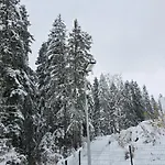 Vikendica Marija Pale