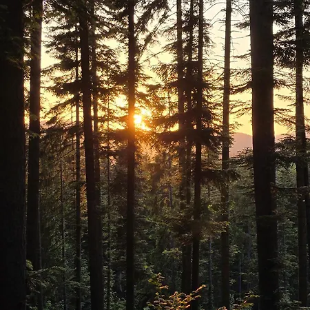 Hébergement de vacances Vikendica Marija *