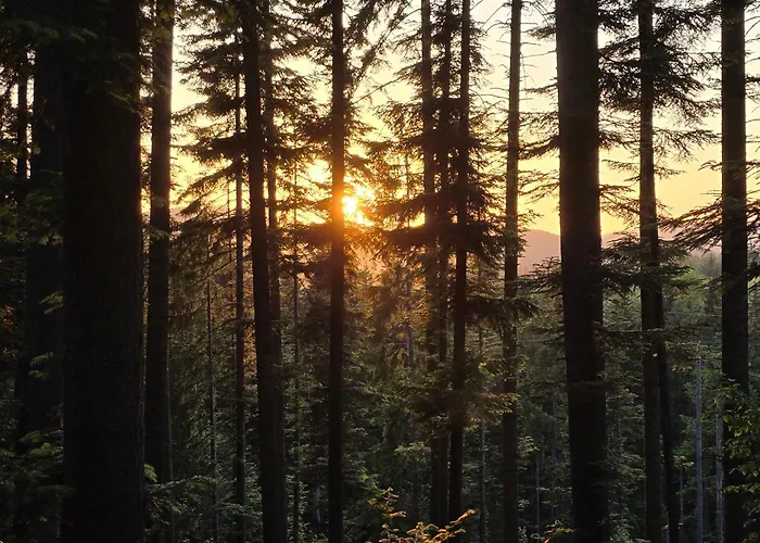 Feriehus Vikendica Marija *