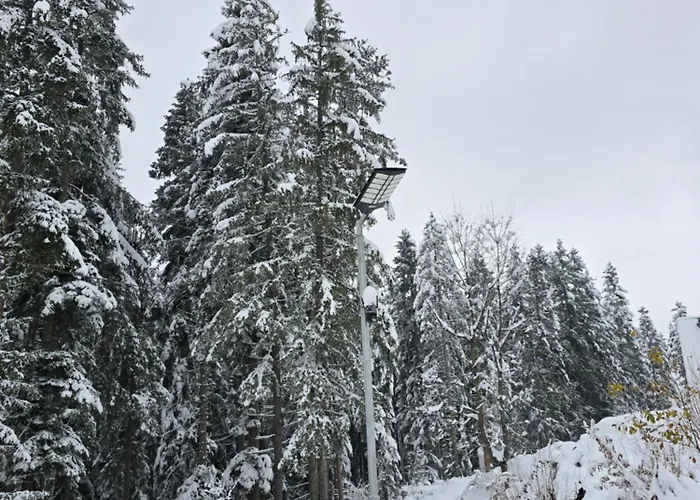 Vikendica Marija Pale