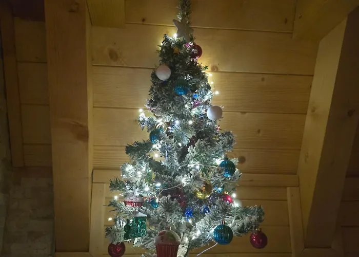 Feriehus Vikendica Marija Pale